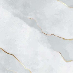 Kamrupa Ceramics Premium Porcelain Tiles – Matte / Glossy Finish | Size: 300mm x 450mm